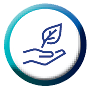 Natural capital icon